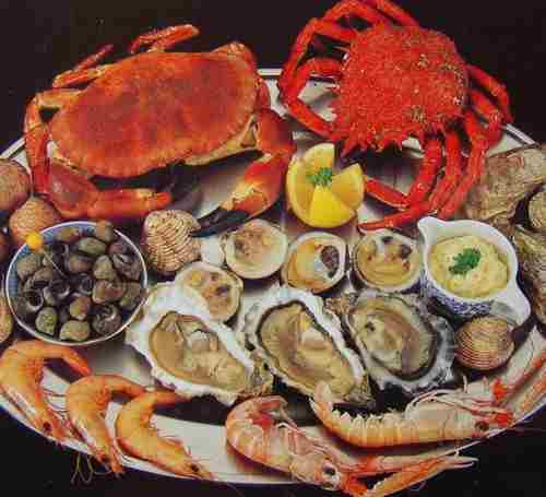 lobster crab shrimp clams oysters crawfish